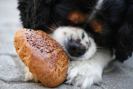 puppy chow image
