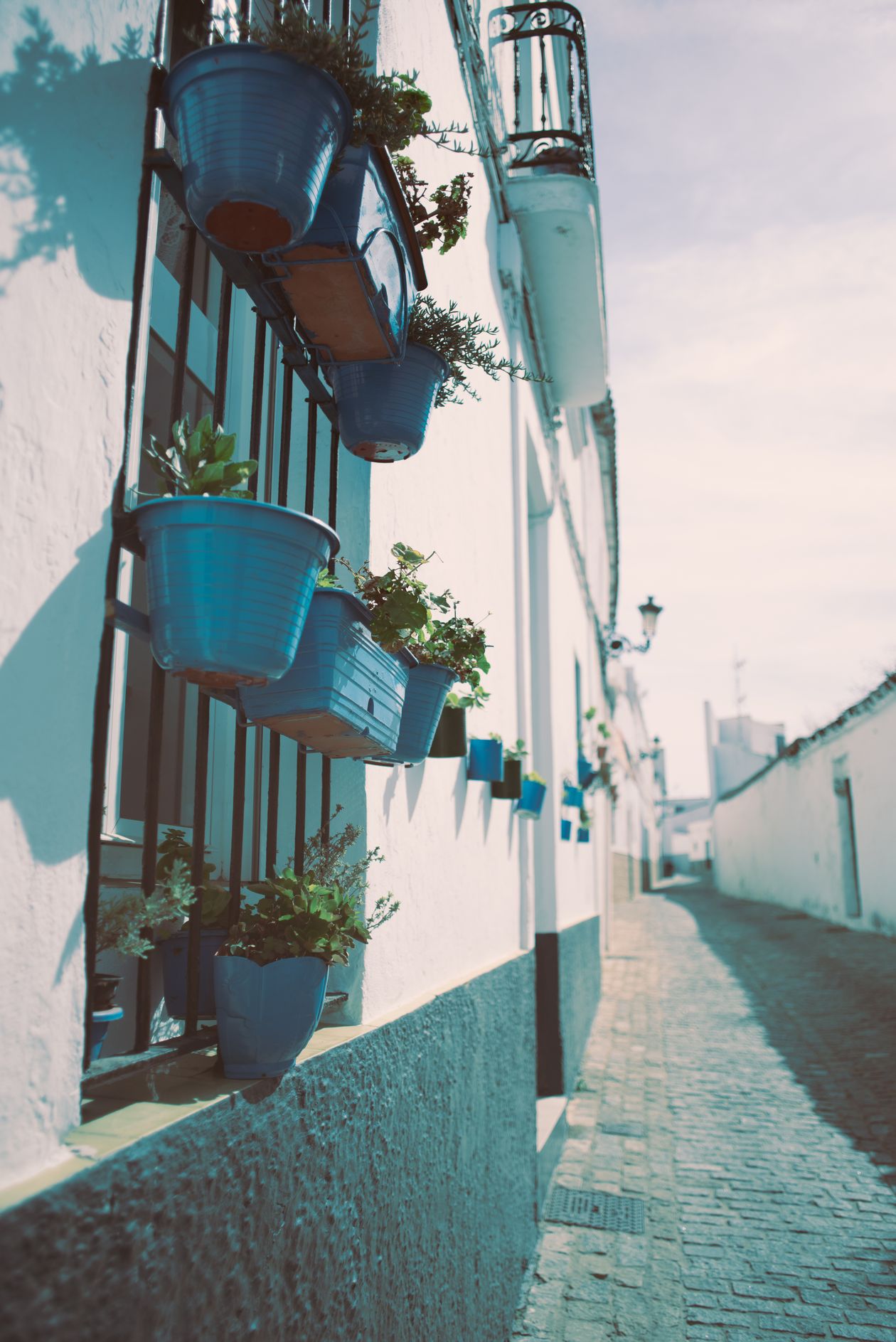 Calle blanca con macetas de colores en Medina-Sidonia