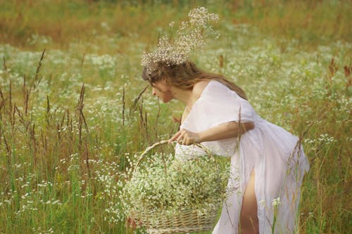 Woman in a White Dress Putting Flowers in a Basket on a Meadow 