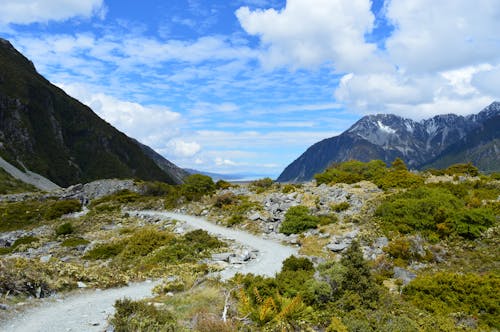 Winding Trail Among the Mountains of Mount Cook National Park