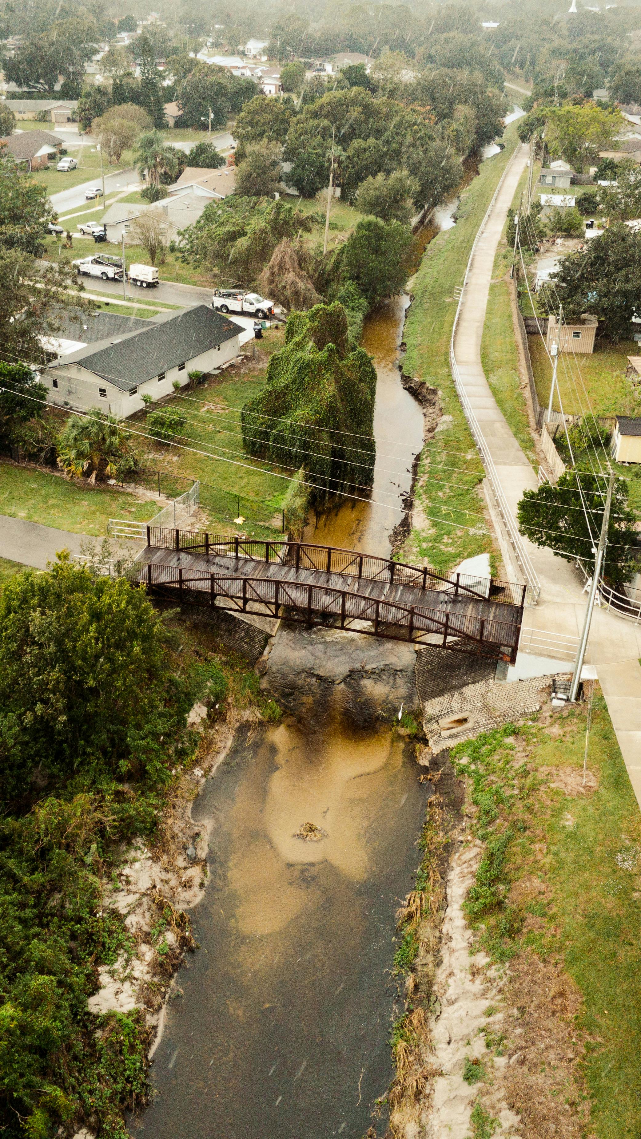 Served bowl of bean stew with herbs and bread on the side