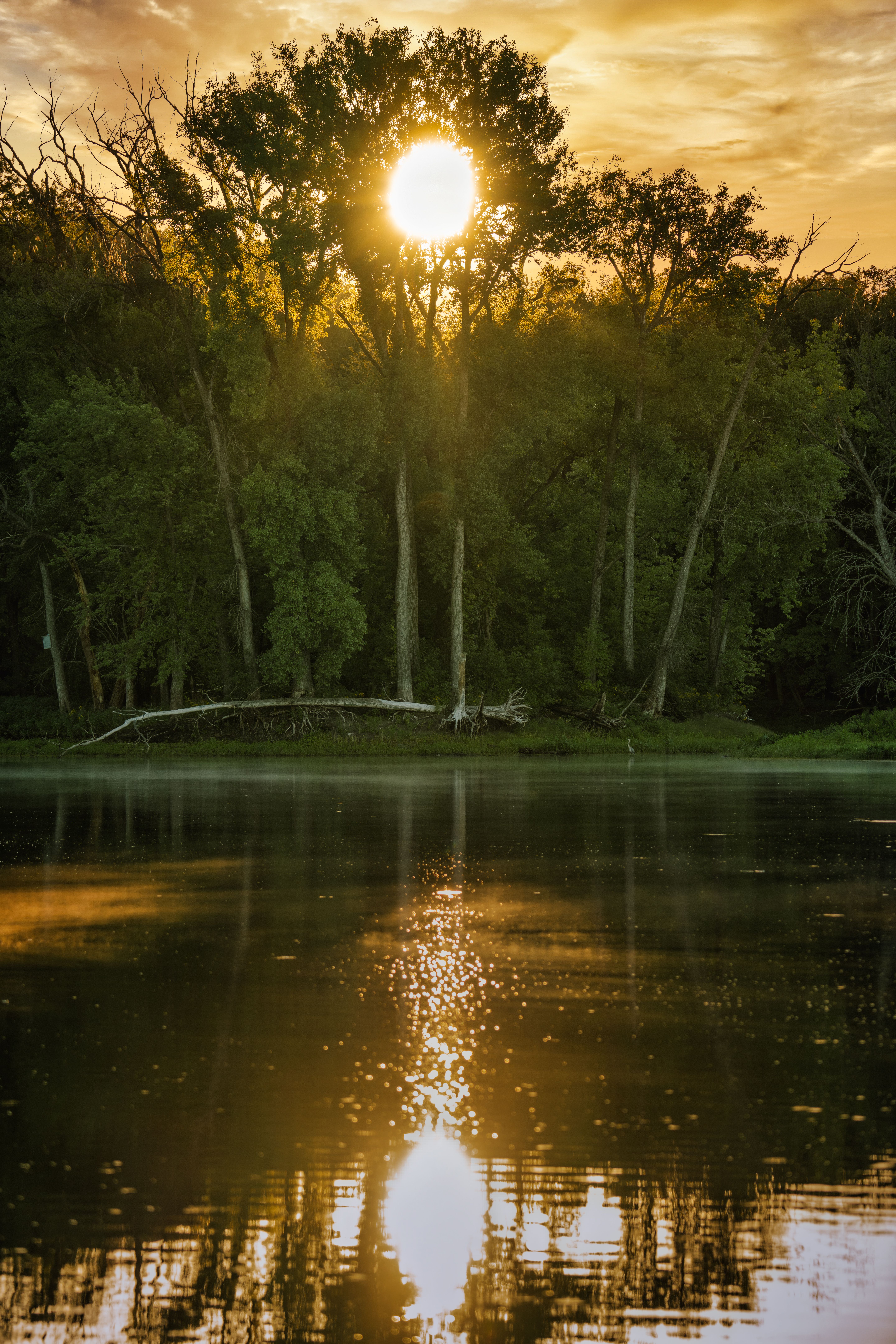 Body of Water Near Green Trees During Sunset · Free Stock Photo