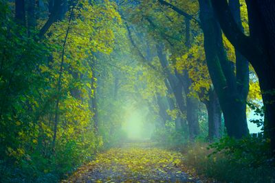 Photo by Johannes Plenio on Pexels