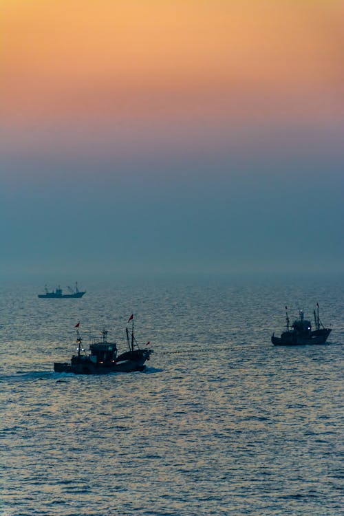 Silhouette of Cargo Ships Sailing on Sea