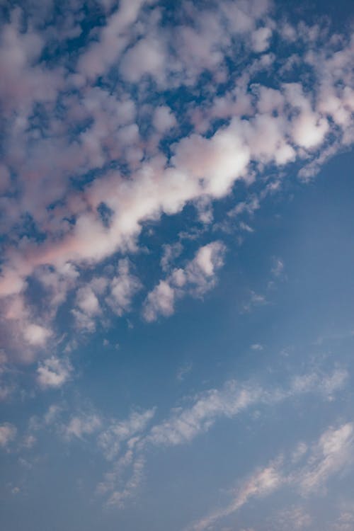 Ingyenes stockfotó alacsony szögű felvétel, bolyhos, fehér felhők témában Stockfotó