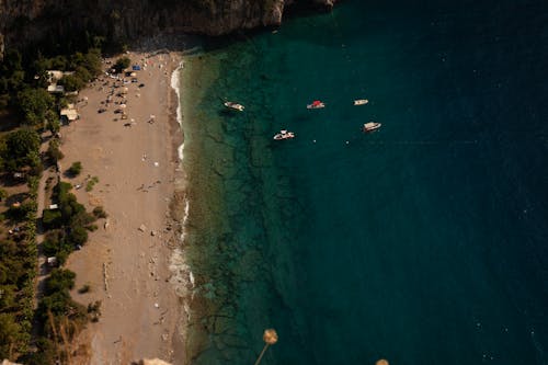 An Aerial Shot of a Shore with Docked Boats