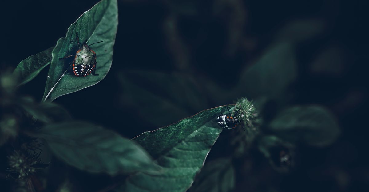 Linux plante ou se bloque : comment diagnostiquer et résoudre l'origine de la panne
