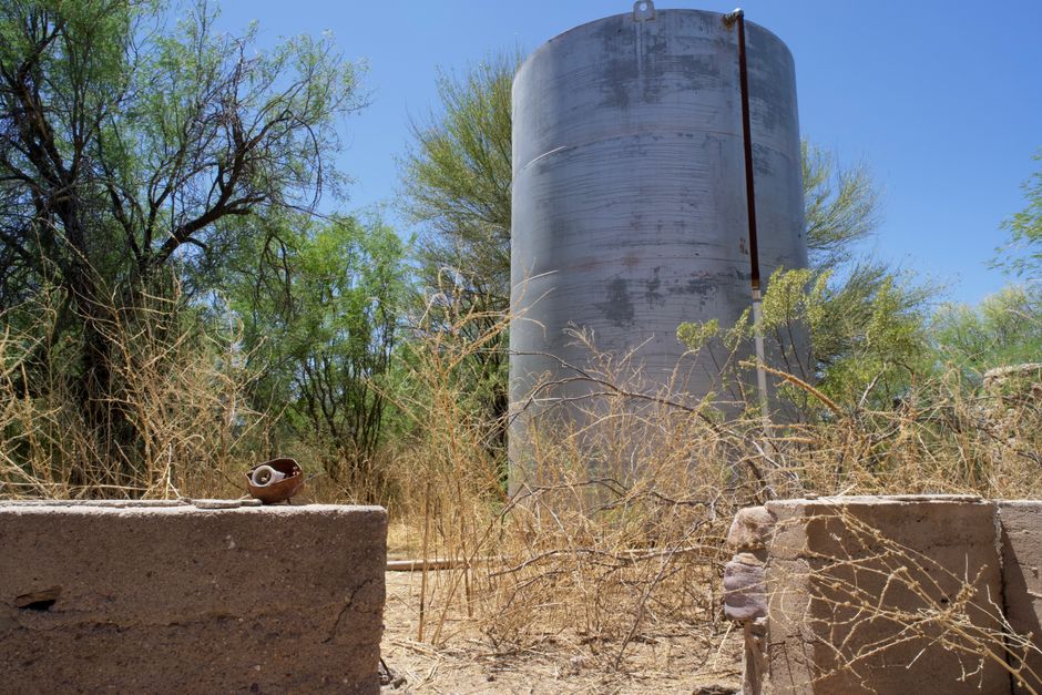 A murky desert cow tank used as a water source on the Pacific Crest Trail - Pacific Crest purifier choice A murky desert cow tank used as a water source on the Pacific Crest Trail - Pacific Crest purifier choice