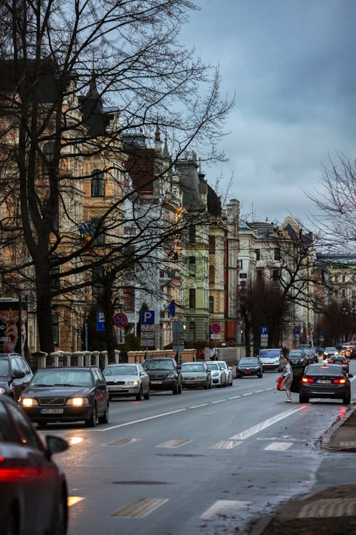 Imagine de stoc gratuită din arbori, autoturisme, caldarâm