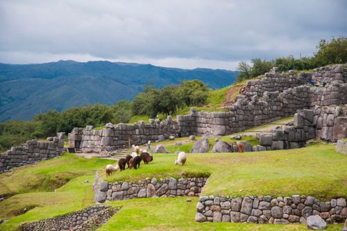 Free Explore ancient stone ruins and grazing llamas in the lush Peruvian landscape. Stock Photo