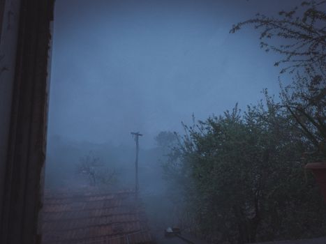 Fog in Evening