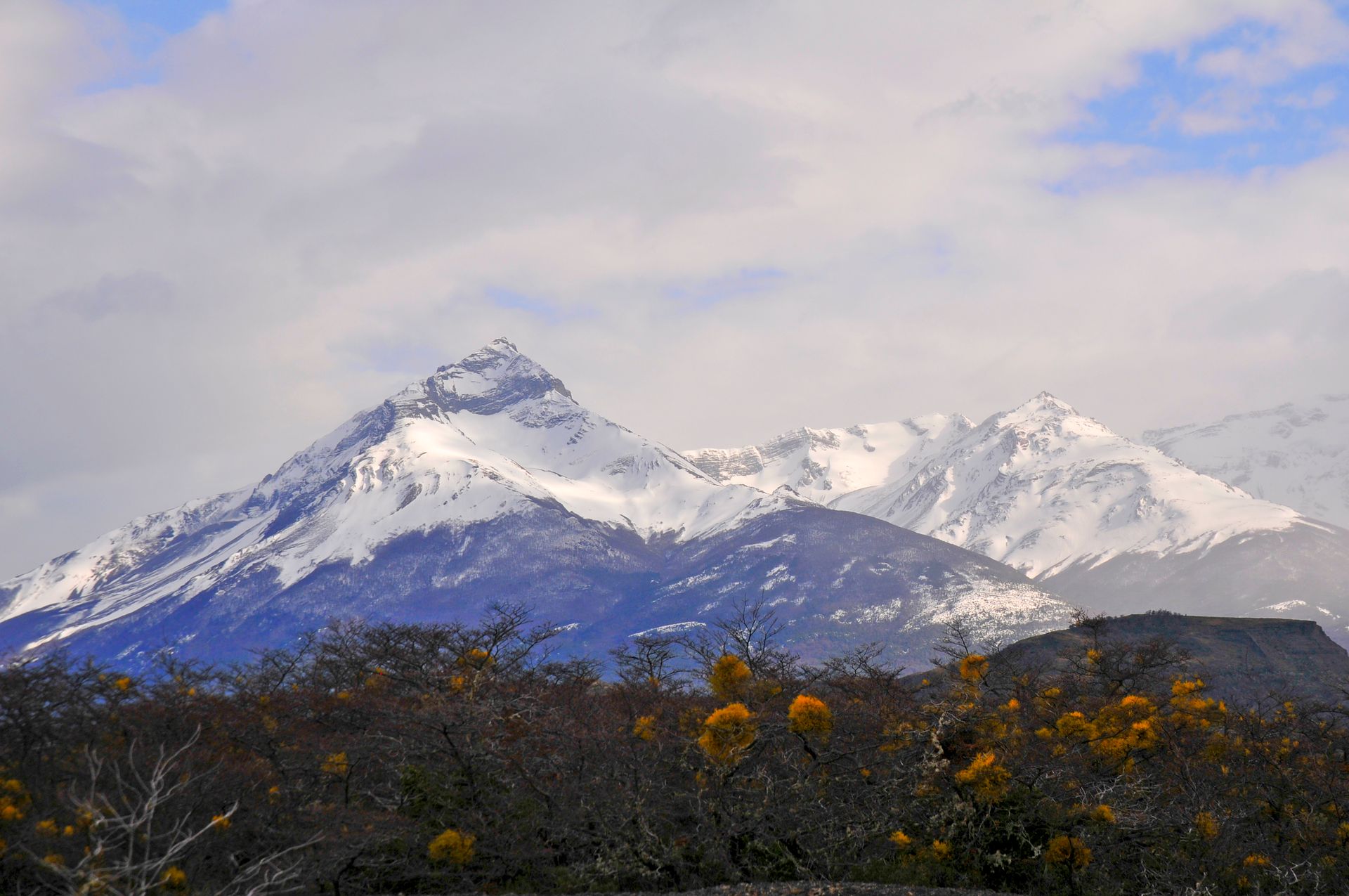 Snow-covered mountains with yellow flowers and cloudy sky, creating a picturesque winter scene outdoors.