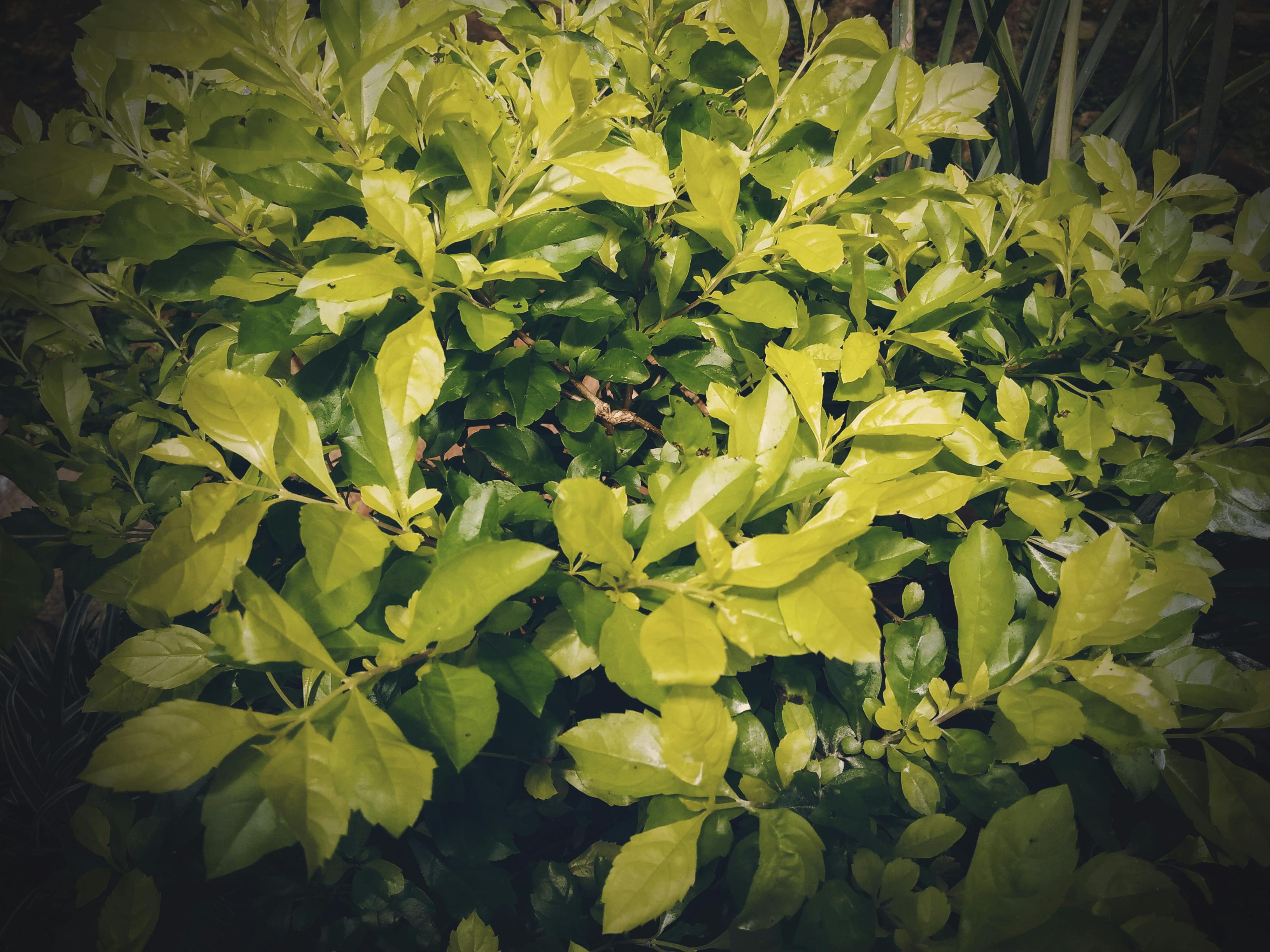 Mediterranean meal with salad, bread, and dips on a rustic table