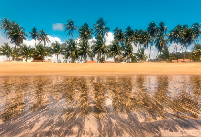 Serene view of São Miguel dos Milagres beach with coconut trees reflected in sand and water.