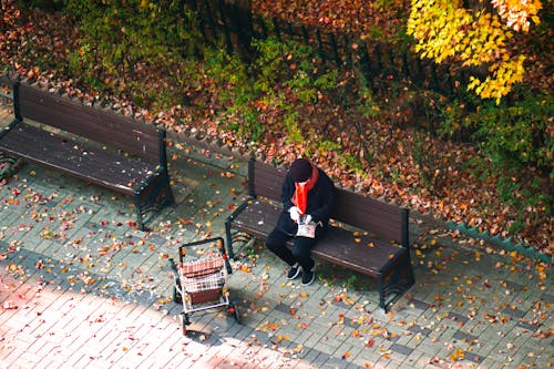 Foto d'estoc gratuïta de assegut, bancs, cotxet