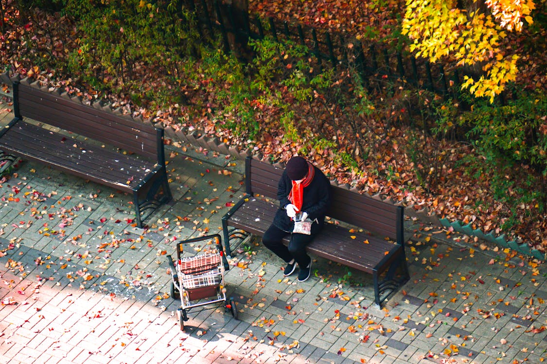 Person Sitting with Stroller in Autumn