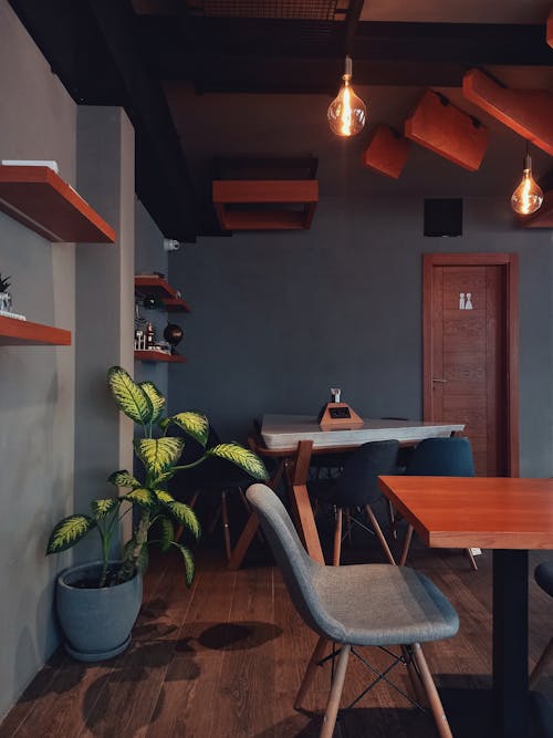 Cafe Interior Design
