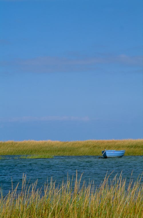 Foto d'estoc gratuïta de barca, camp, cel blau