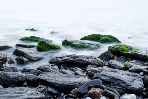Free Δωρεάν στοκ φωτογραφιών με ακτή, βράχια, βράχια σκεπασμένα με βρύα Stock Photo