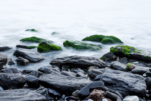 Gray Rocks With Moss