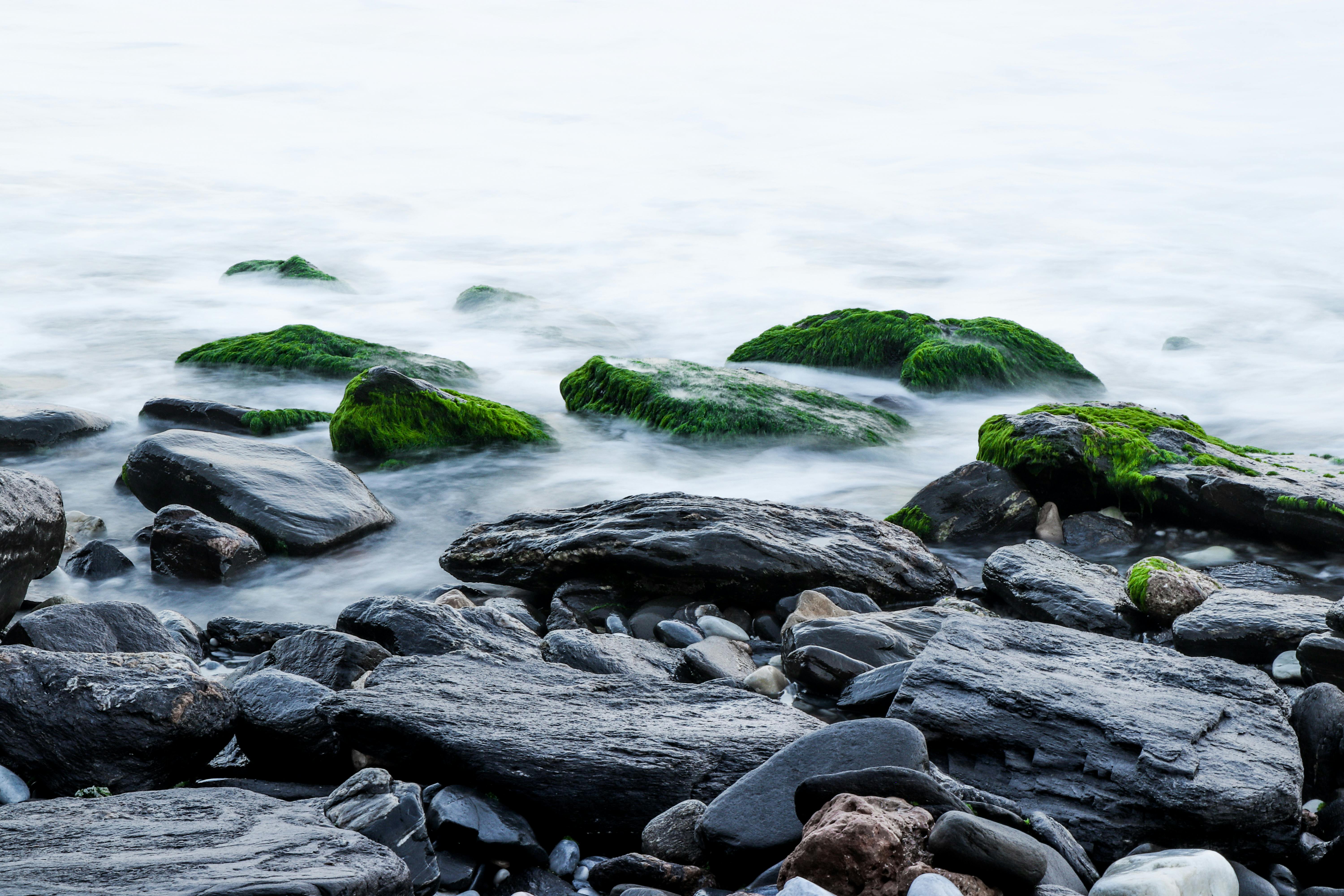 Rocky Beach Photos, Download The BEST Free Rocky Beach Stock Photos & HD  Images