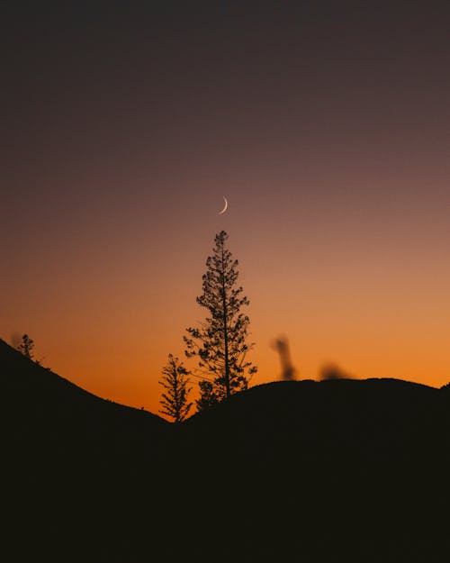 Crescent Moon at Dawn