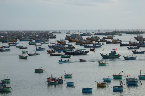 Free A vibrant collection of fishing boats floating on the calm ocean waters under a clear sky. Stock Photo