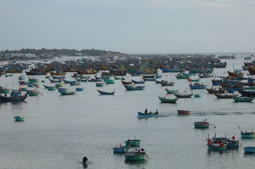 Free A bustling scene of traditional fishing boats on calm sea waters, perfect for maritime themes. Stock Photo
