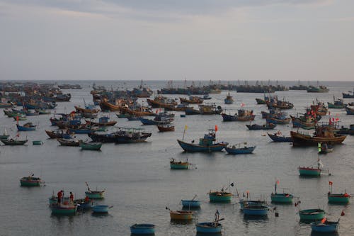 Free Photograph of Fishing Boats on the Water Stock Photo