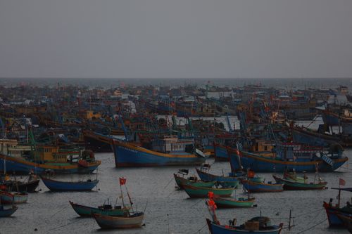 Free A vibrant scene of numerous colorful fishing boats in a busy harbor at twilight. Stock Photo