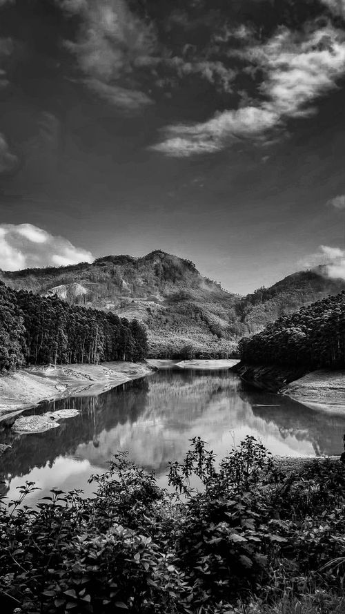 Free Landscape View Stock Photo