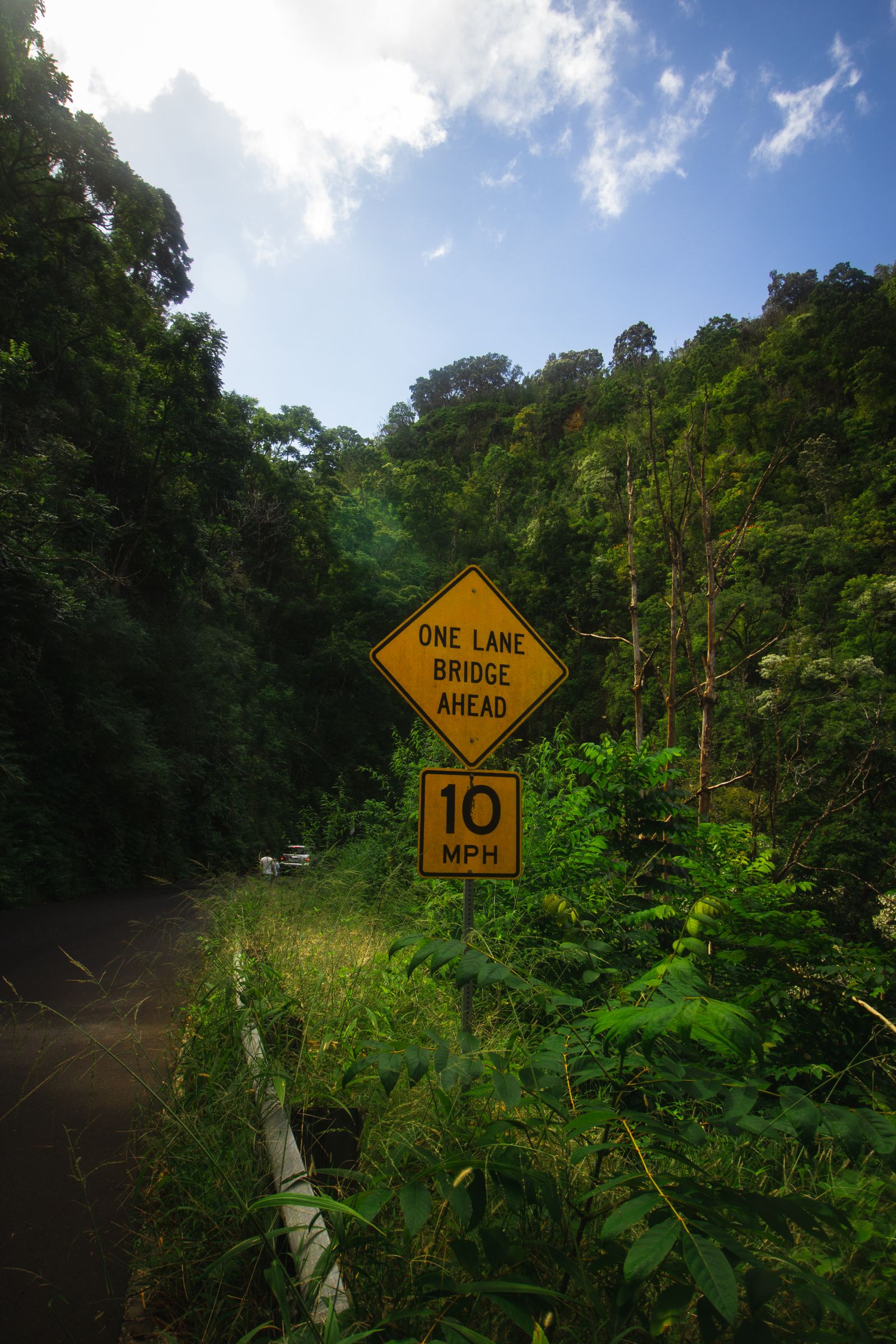 A one-lane bridge sign on the winding Road to Hāna