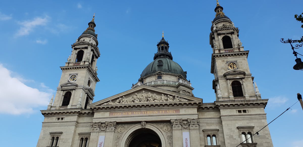 Горный велосипед на трейле в лесу