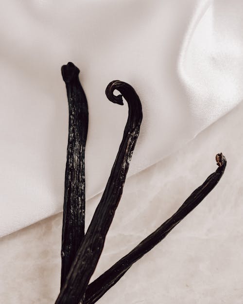 Close-up of Vanilla Sticks on White Background