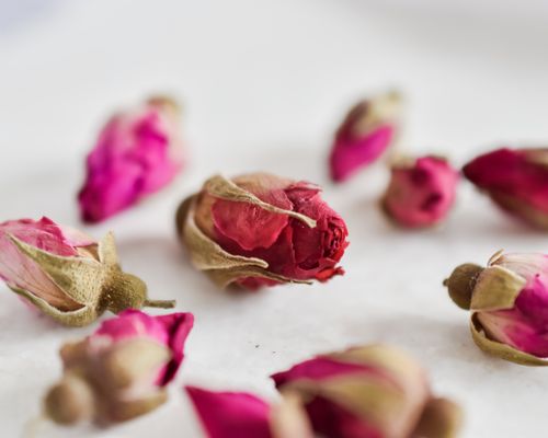 Free Close-up of dried rose buds elegantly arranged on a white surface. Stock Photo