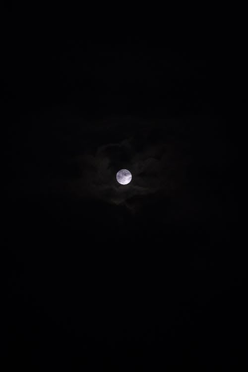Free Full Moon at Night Stock Photo