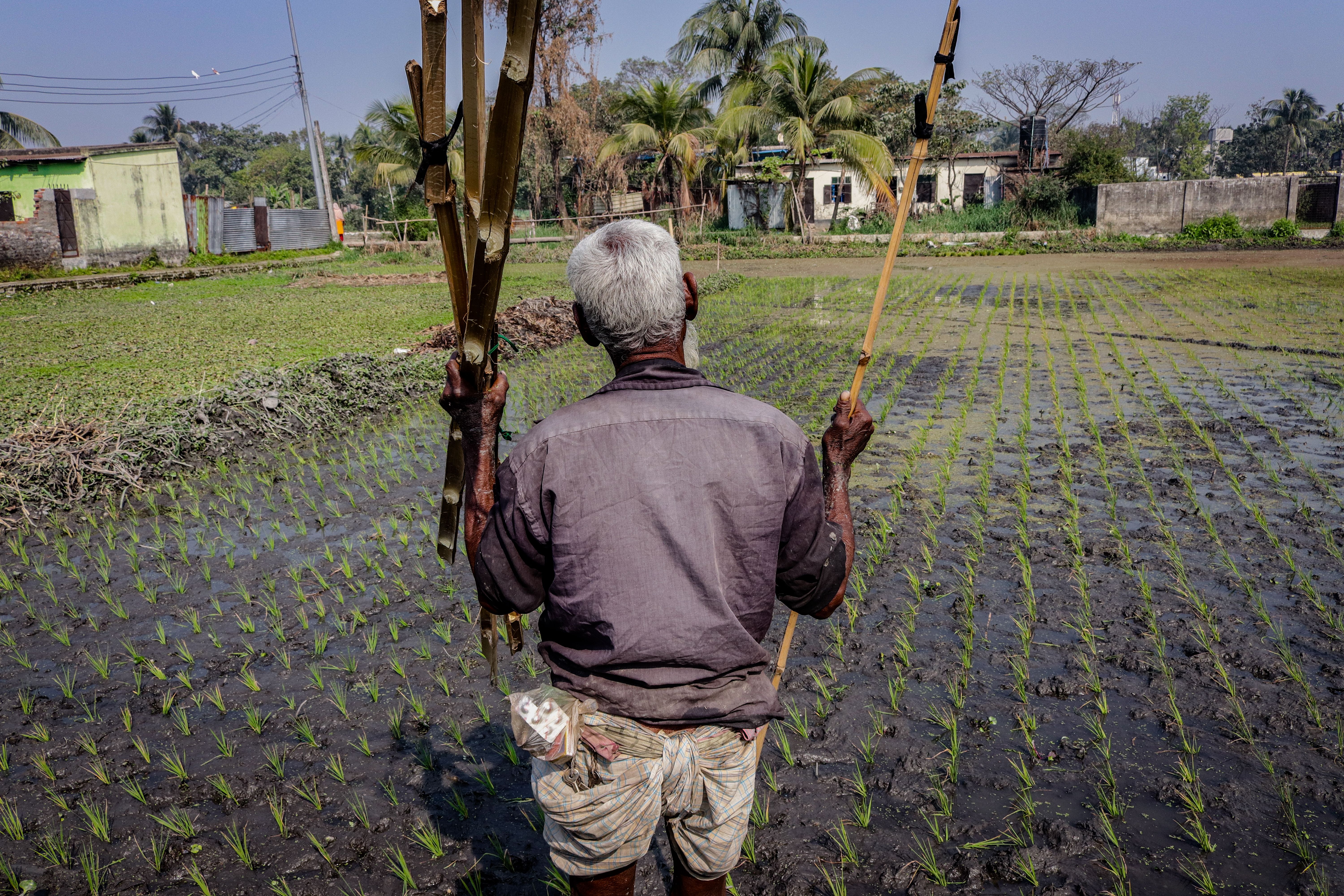 Farmer free stock photo