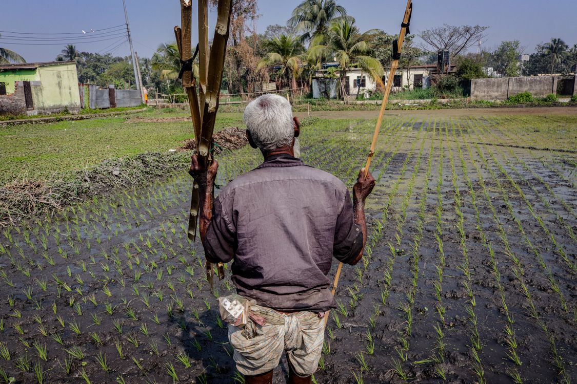 Farmer Free Stock Photo Farmer free stock photo