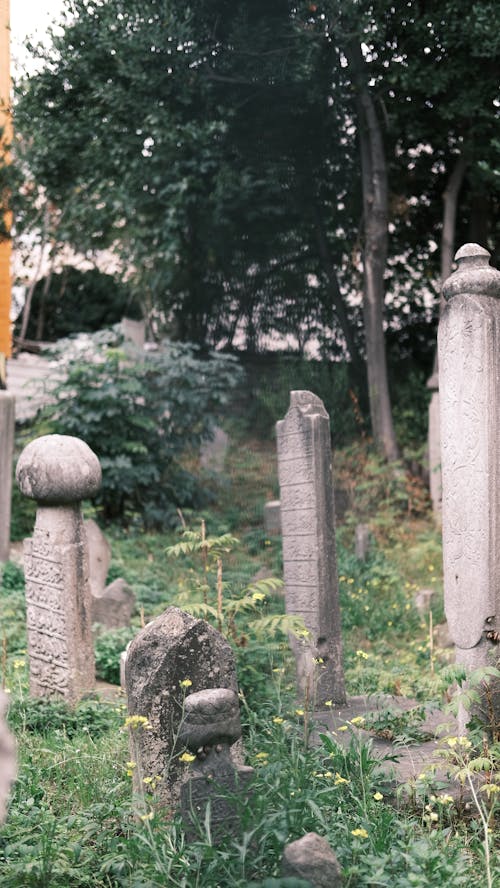 Graves on Cemetery