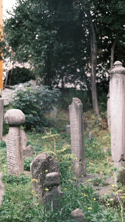 Free Explore the serene atmosphere of an ancient Istanbul cemetery with weathered stone tombstones among lush greenery. Stock Photo