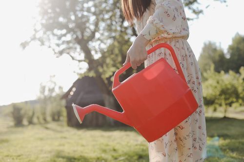 Free A woman in a floral dress holds a red watering can in a sunny garden setting. Stock Photo
