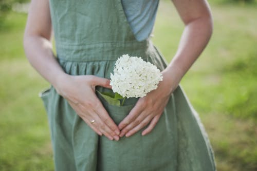 Beyaz çiçekler, cep, elbise içeren Ücretsiz stok fotoğraf