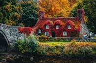 石桥旁坐落着一座迷人的常春藤小屋，四周环绕着充满活力的秋叶和宁静的河流