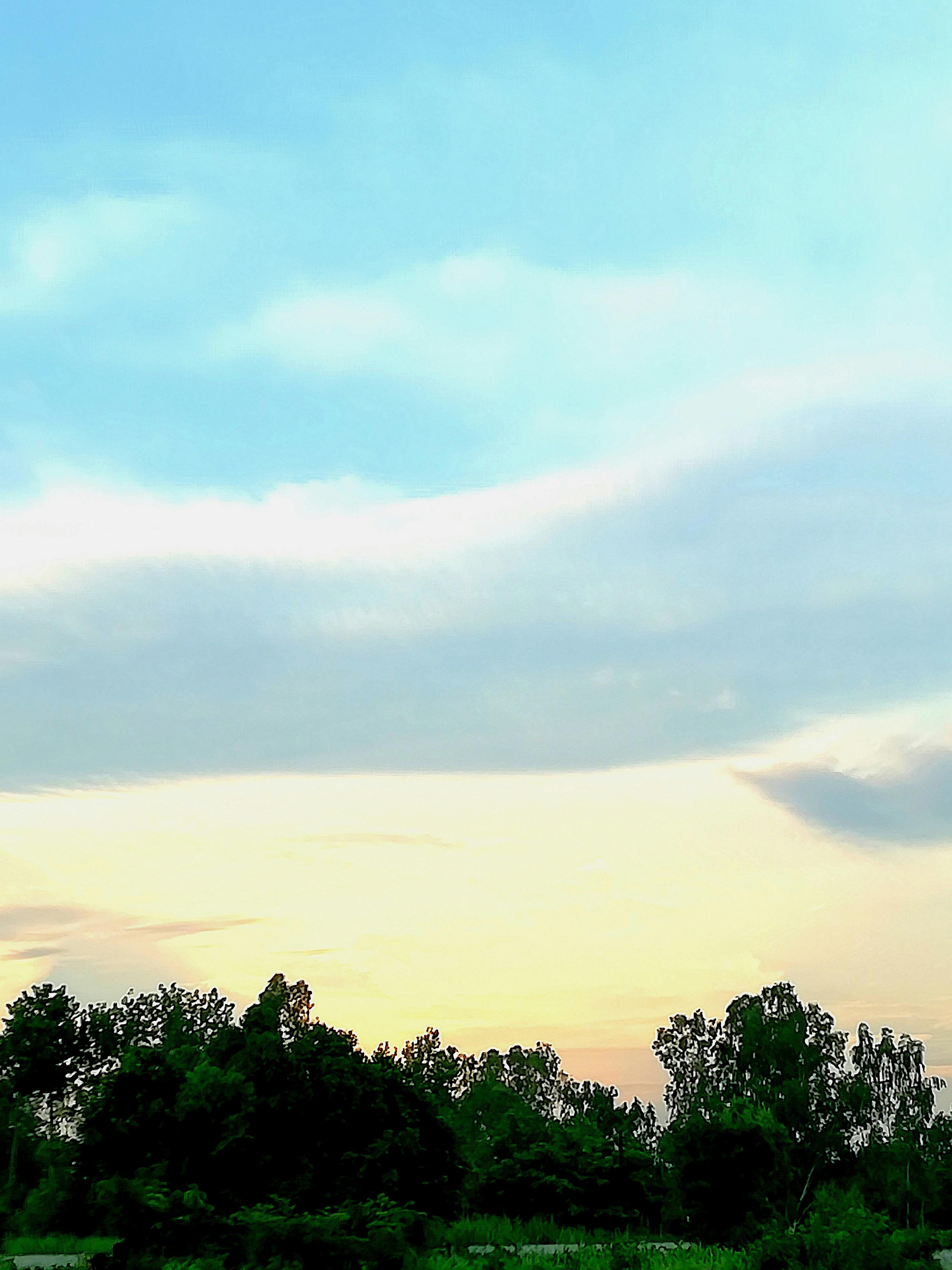 Infographic-style layout of healthy meals and daily activities on a table