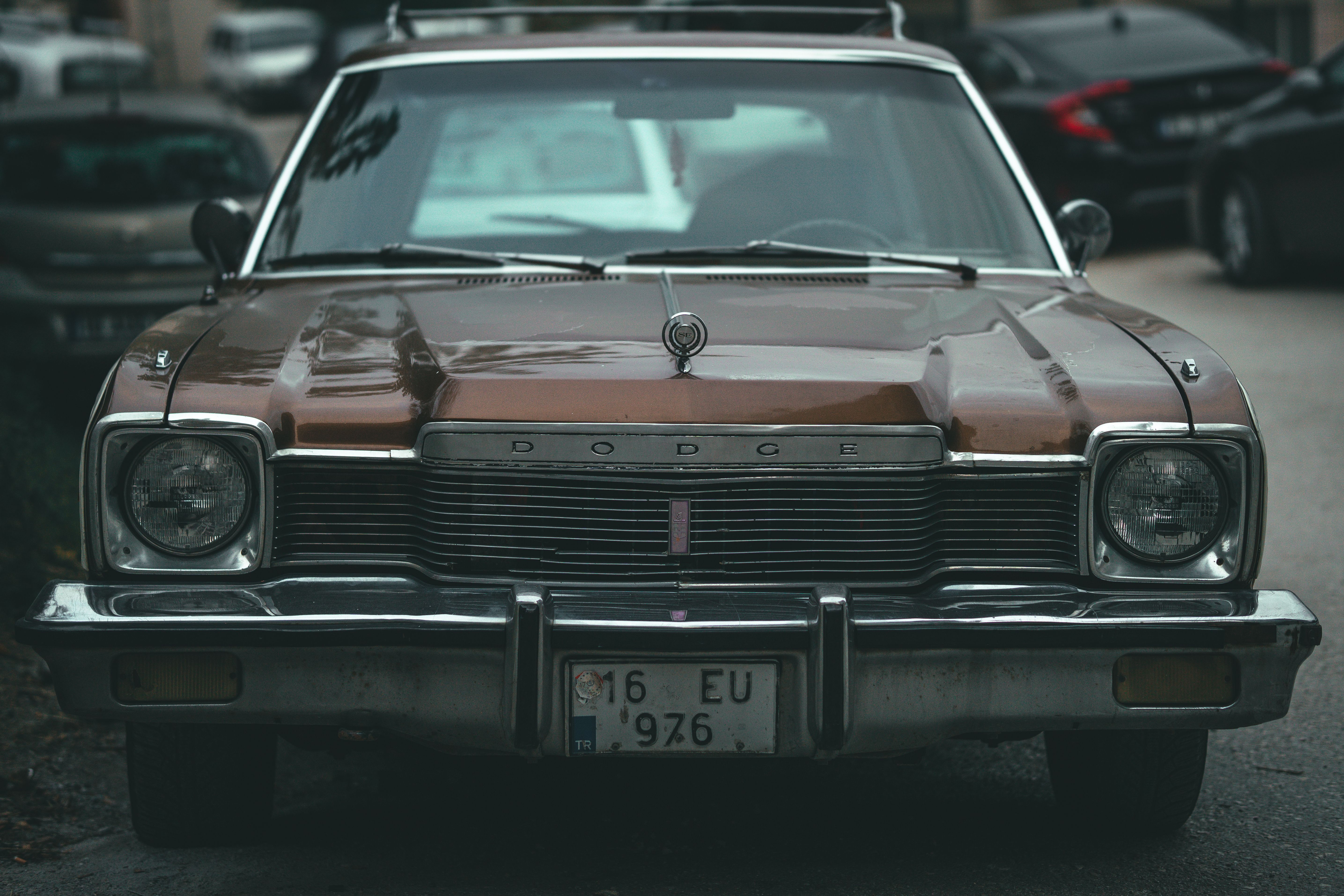 Brown Vintage Car Parked under Wooden Trellis · Free Stock Photo