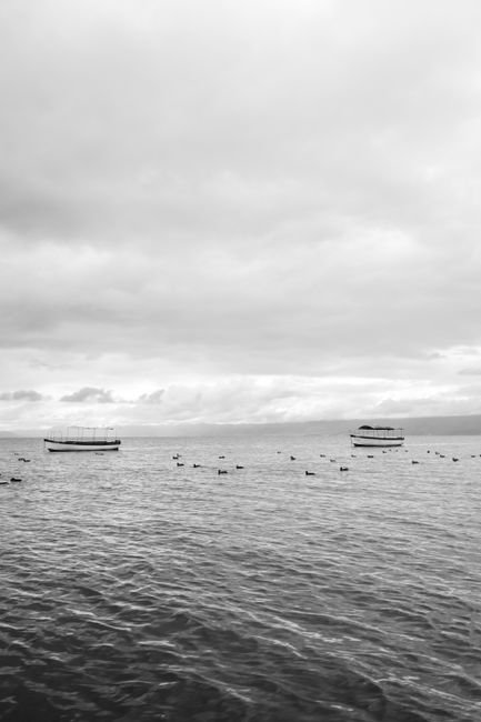Tranquil black and white view of boats and birds on Lake Ohrid, North Macedonia.