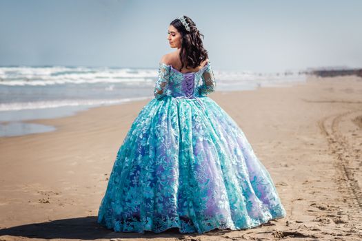 Woman in a Princess Dress Standing on the Beach 