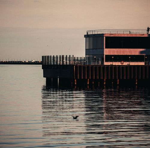 Free A calm seascape with an industrial pier and a lone bird at dusk. Stock Photo