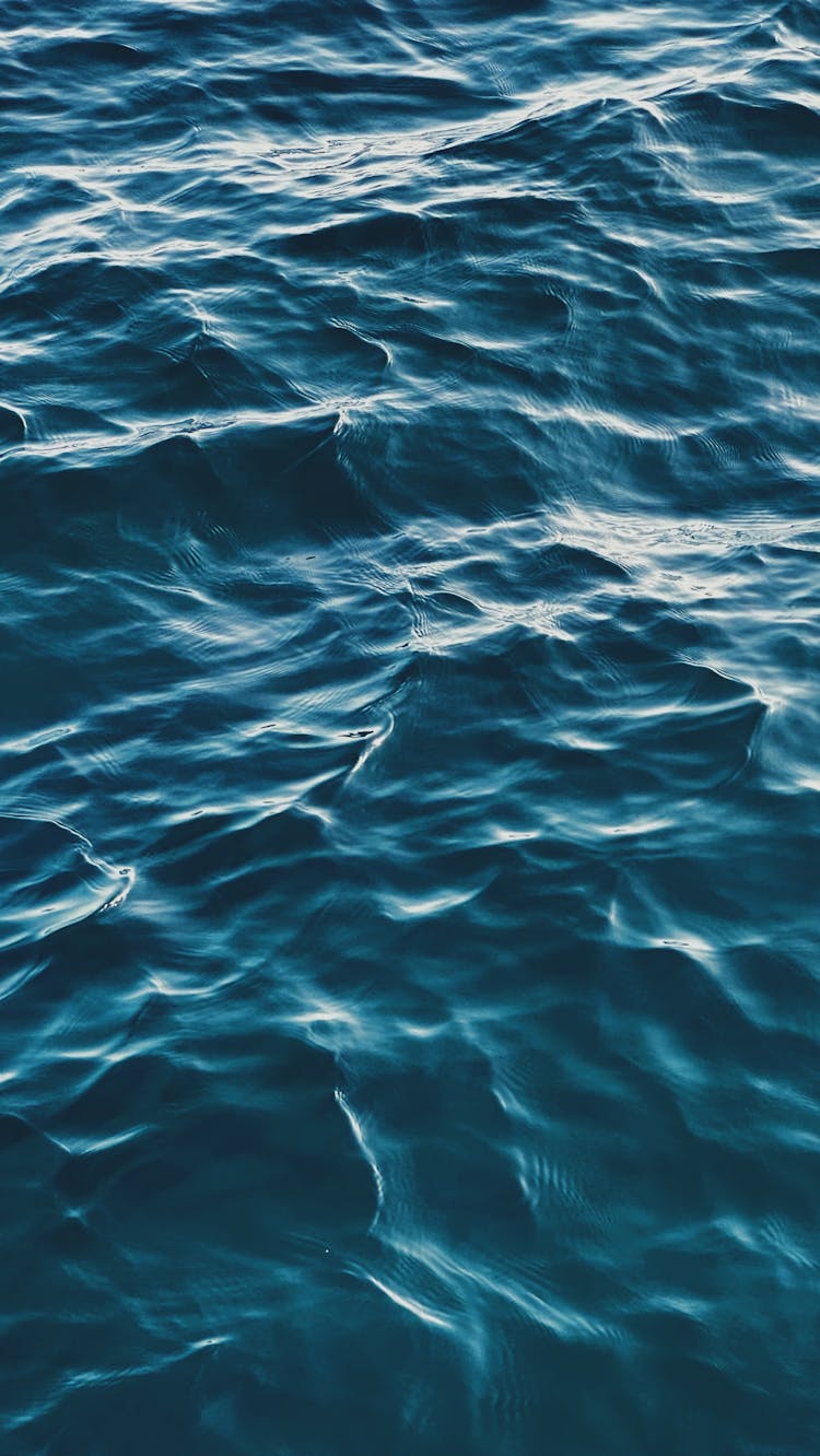 Surface Of Water