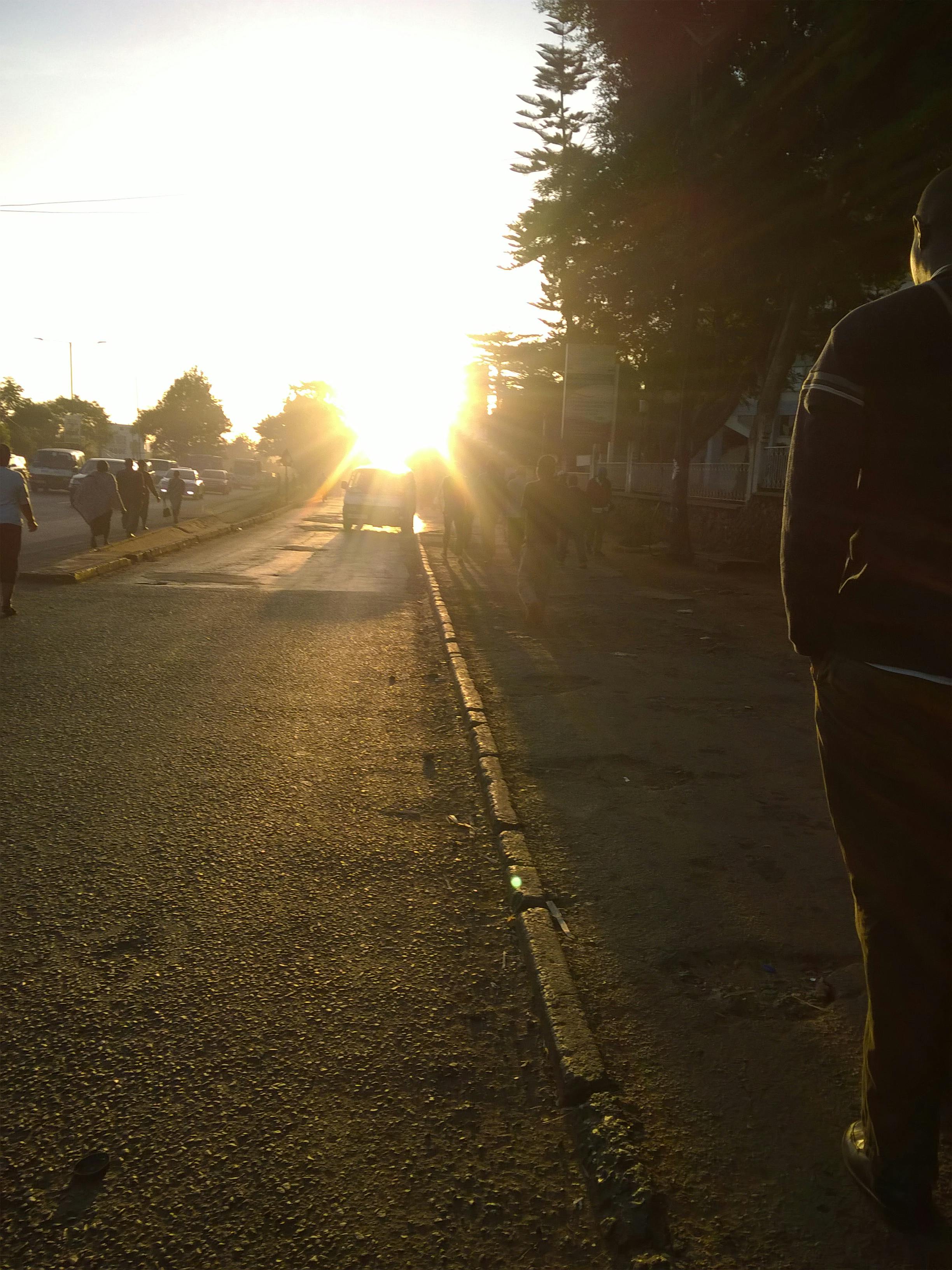 Free stock photo of morning sun